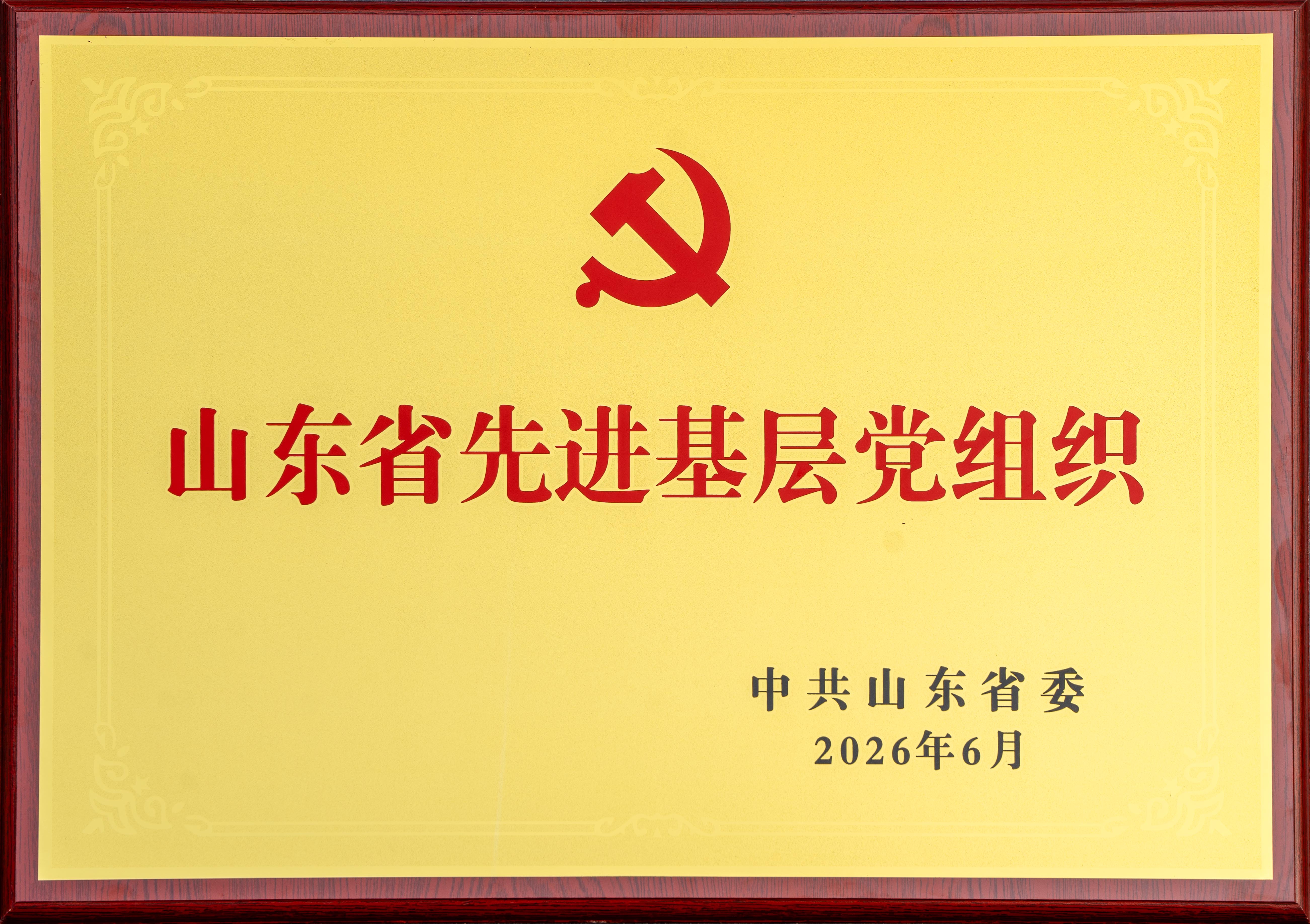 2026.6山东世界杯下单网站股份有限公司文化用纸事业部党支部荣获“山东省先进基层党组织”奖牌.jpg
